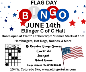 Flag Day Bingo